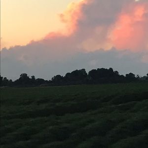 Meet your Posher, Demetrius